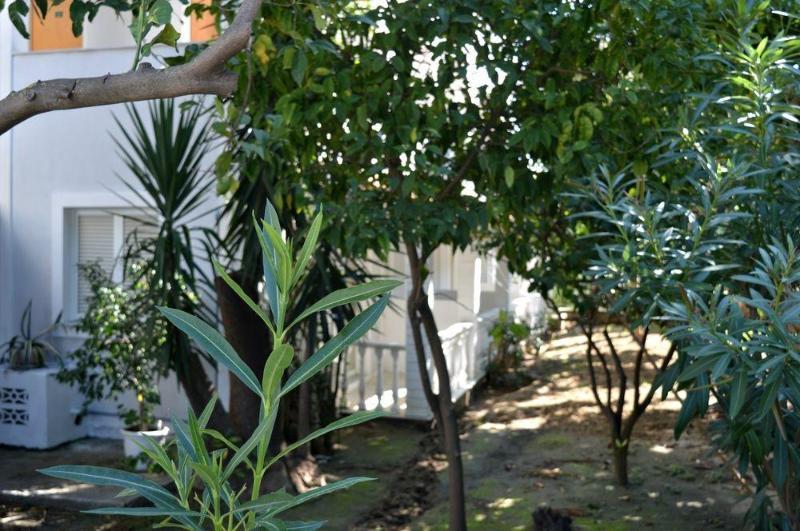 ארגאסי Chryssi Akti Hotel מראה חיצוני תמונה